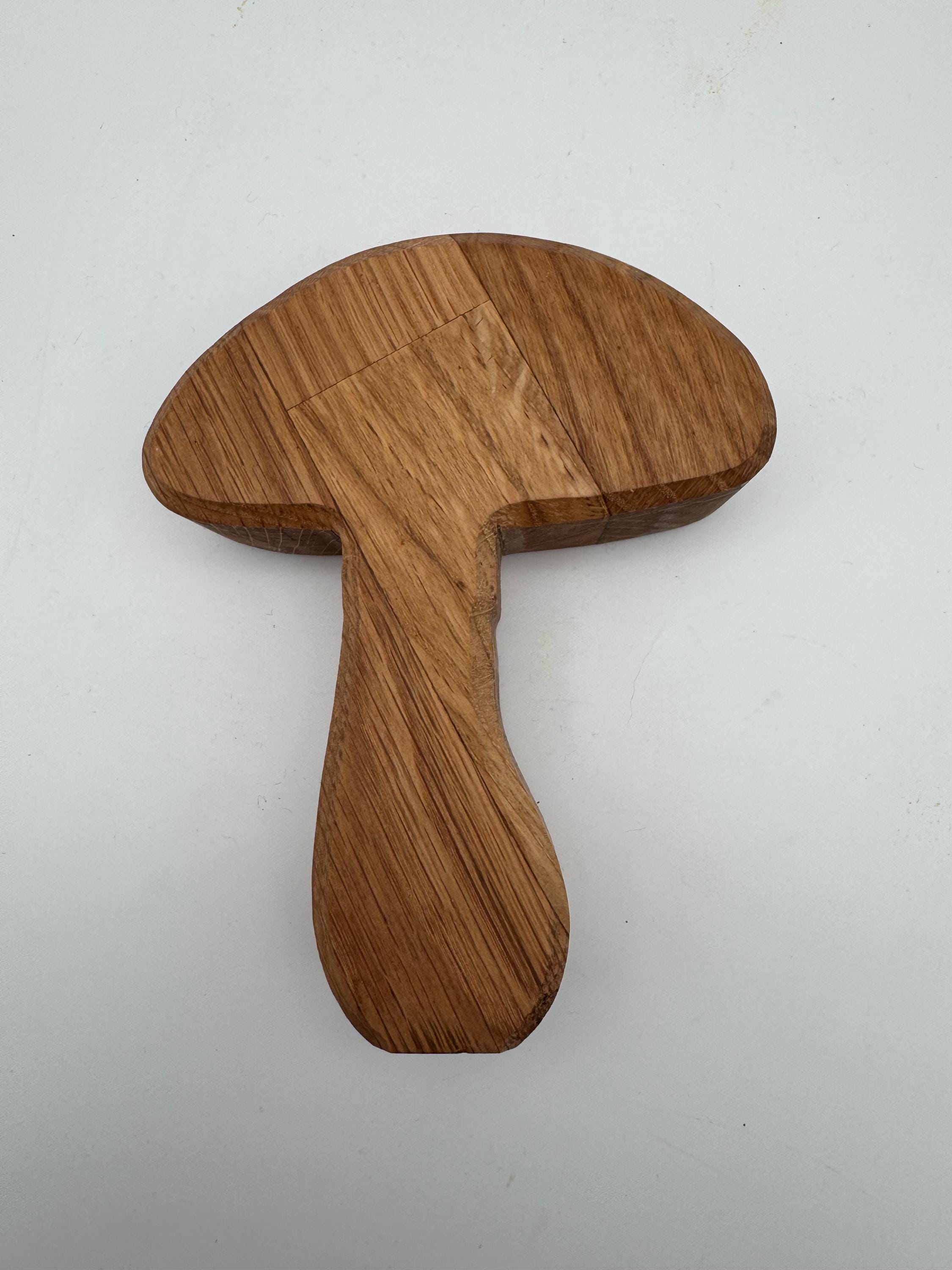 Champignons en bois de chêne