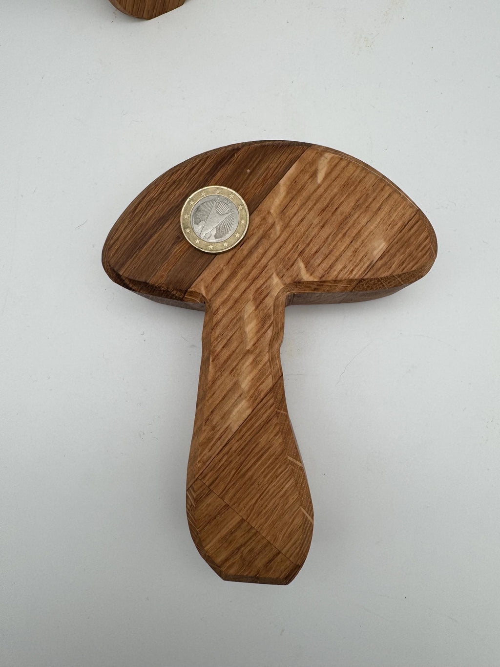 Champignons en bois de chêne