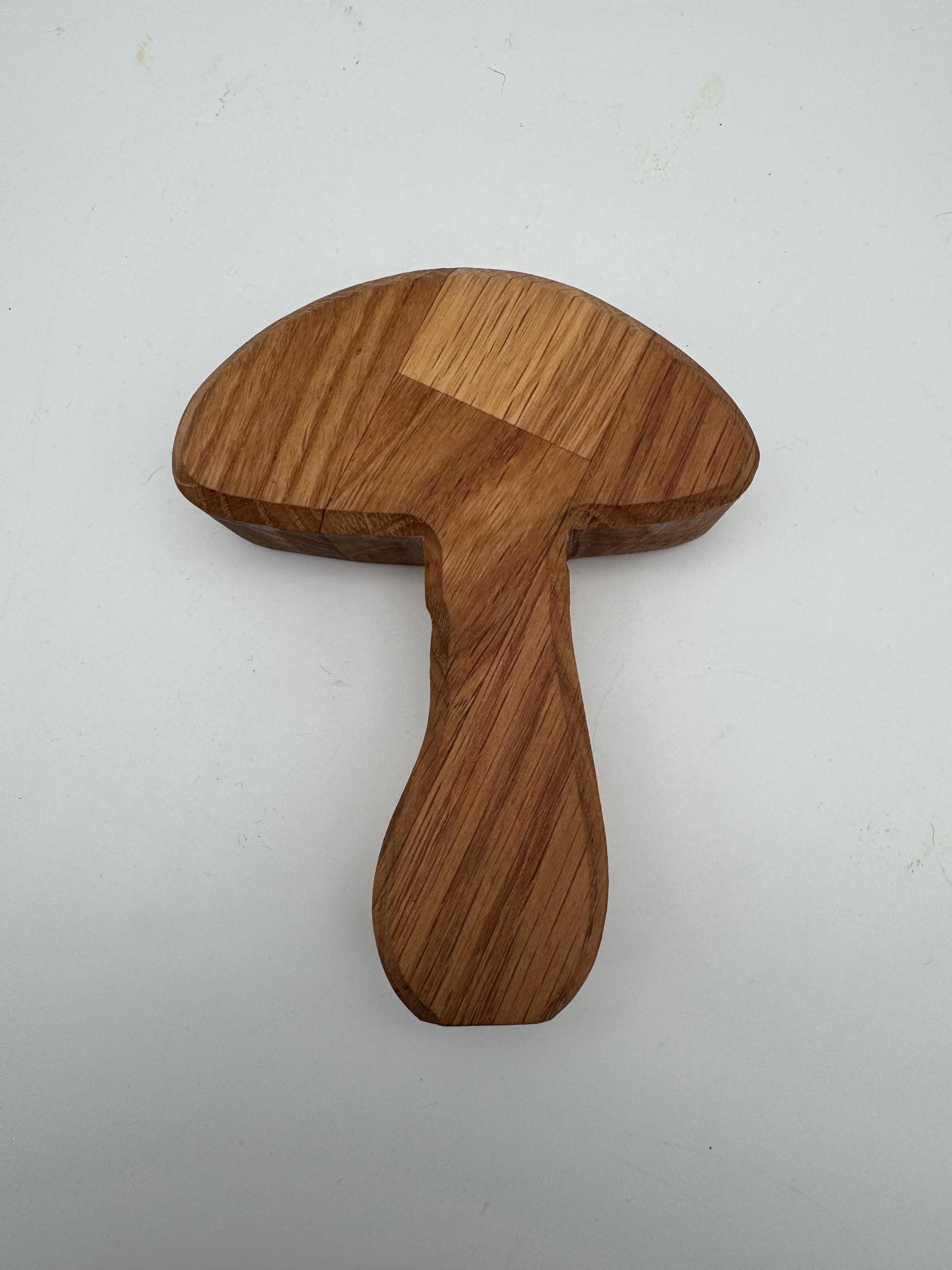 Holz Pilze aus Eiche