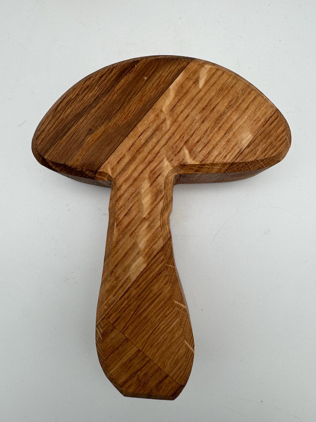 Champignons en bois de chêne