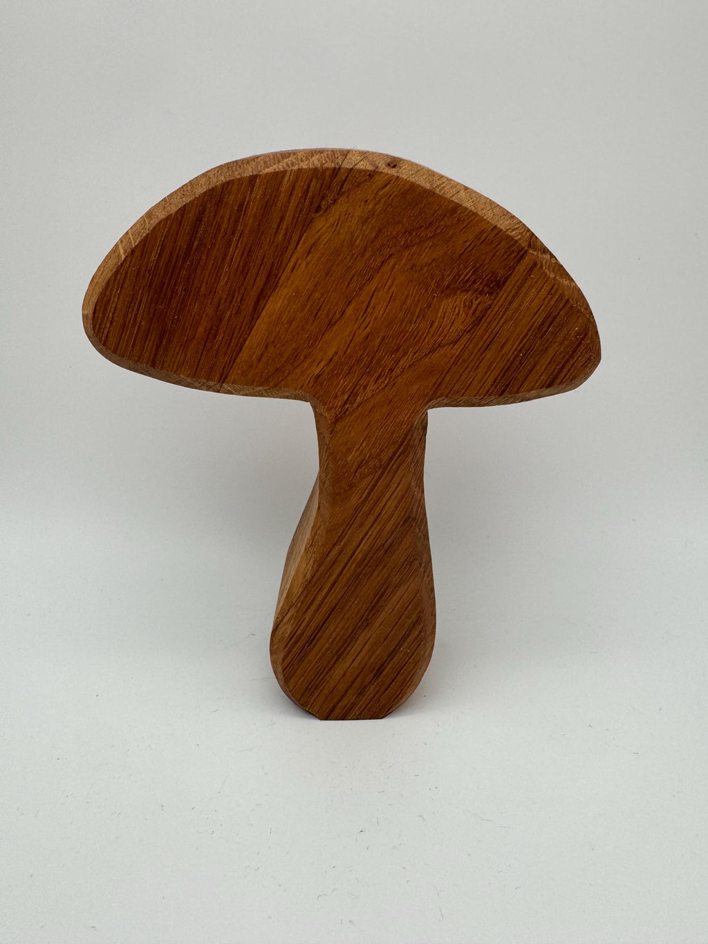 große Holz Pilze aus Eiche