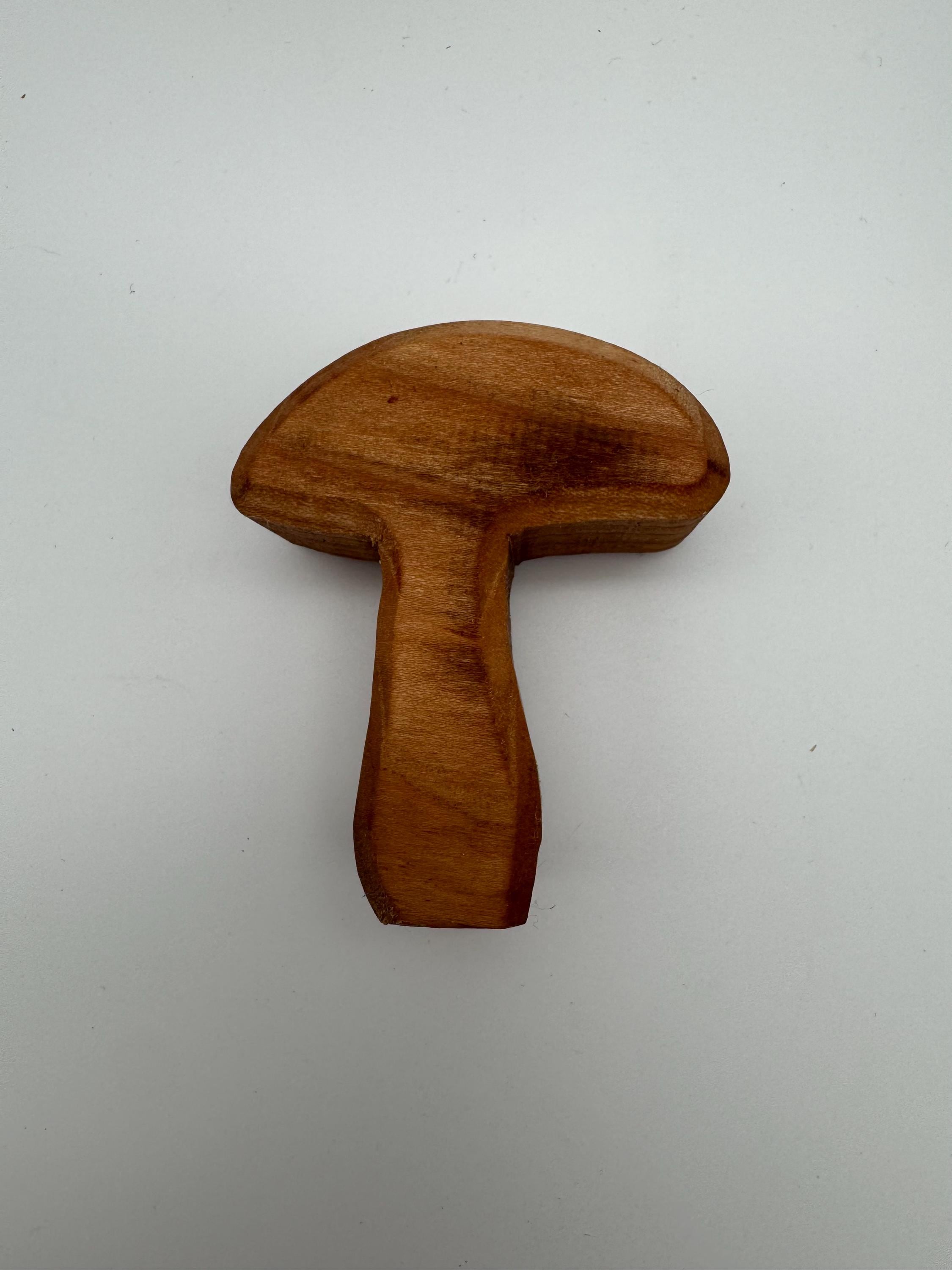 kleine Holz Pilze aus Eiche