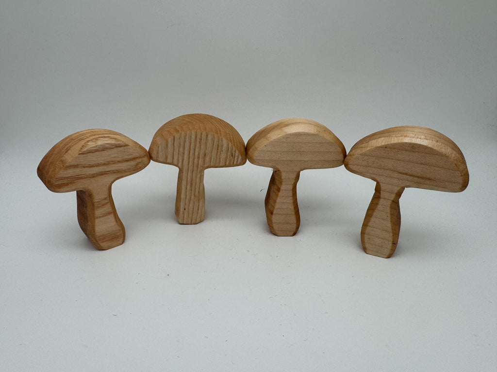 kleine Holz Pilze aus Esche