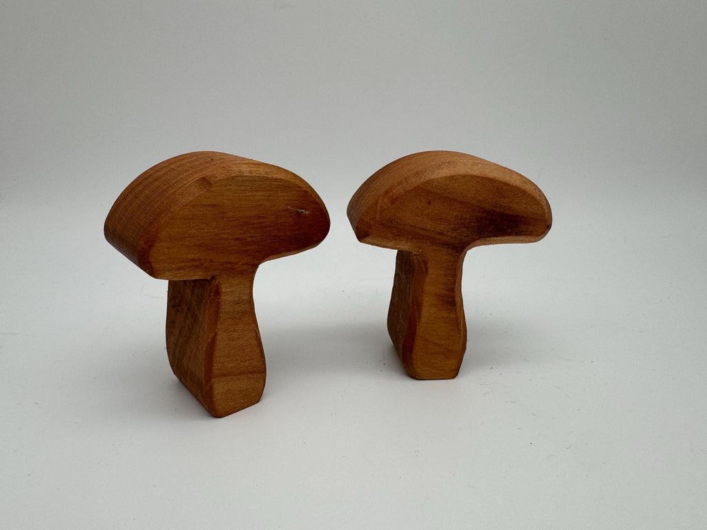 kleine Holz Pilze aus Eiche