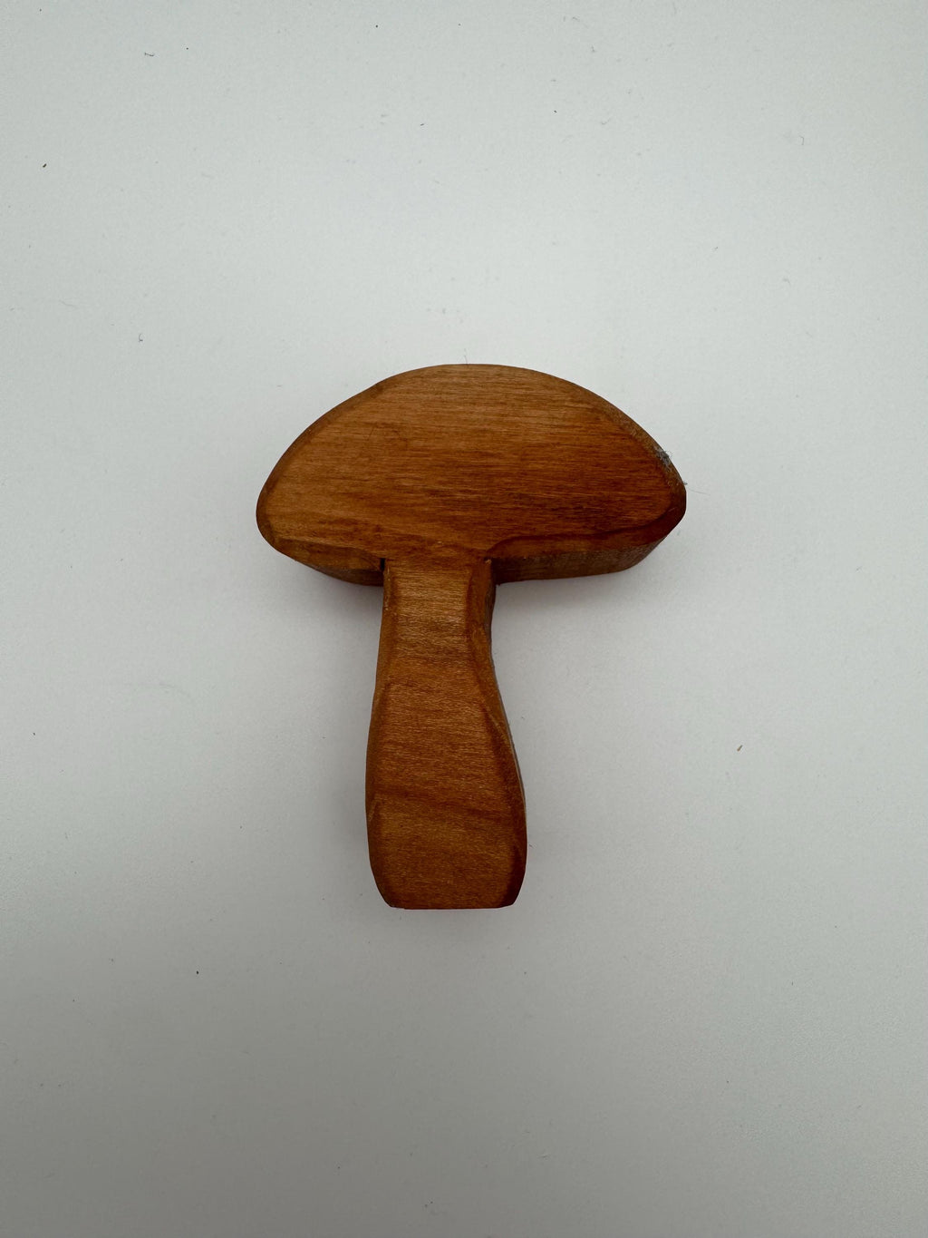 kleine Holz Pilze aus Eiche